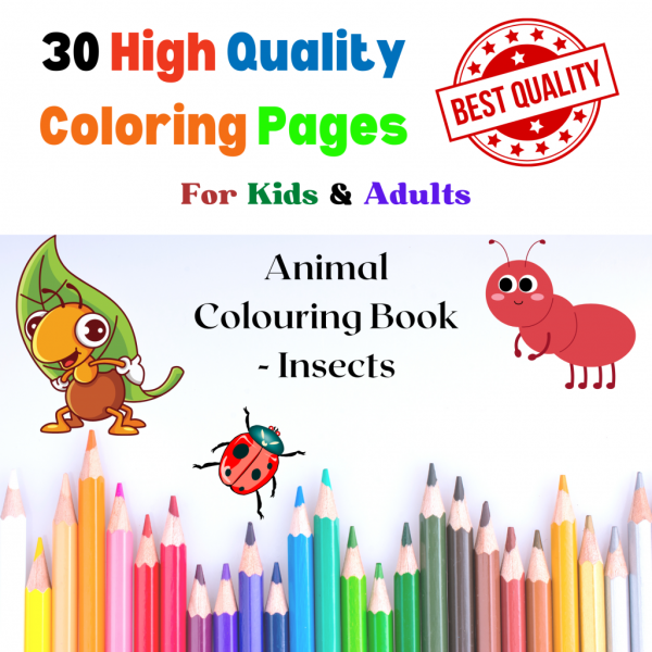 Insects Printable Colouring E-Book for Toddlers & Adults