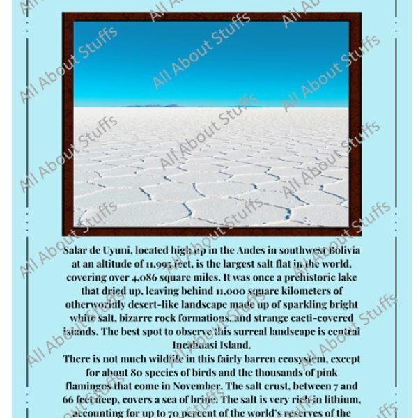 Factograph - The Facts Poster : Salar De Uyuni, Bolivia