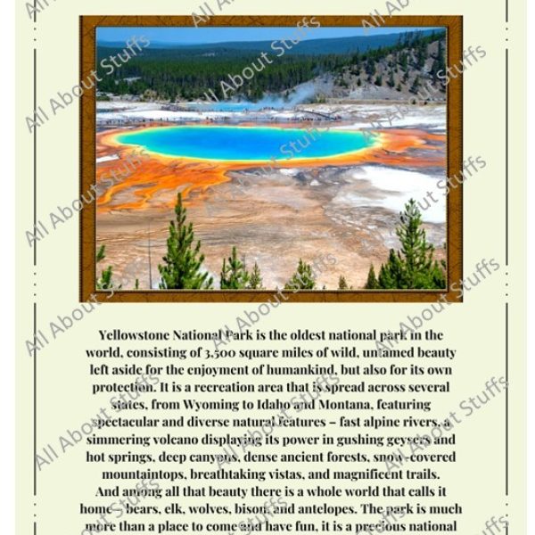 Factograph - The Facts Poster : YellowStone National Park